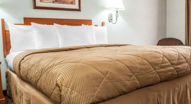 Двухместный номер Standard Econo Lodge Las Cruces University Area