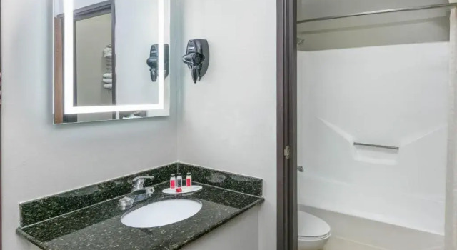Четырёхместный номер Standard Howard Johnson by Wyndham Near Schlitterbahn