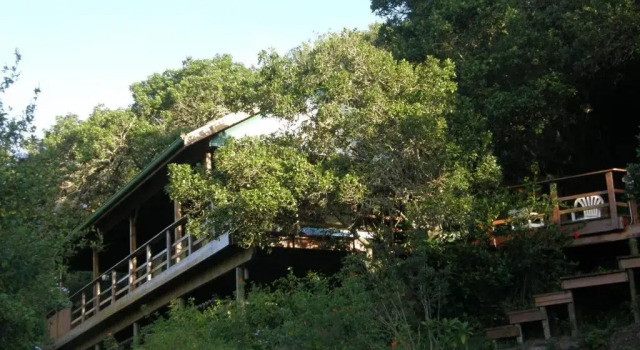 Тент Bushbuck Camp
