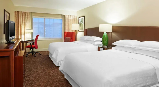 Standard Klub Zimmer Sheraton Augusta Hotel