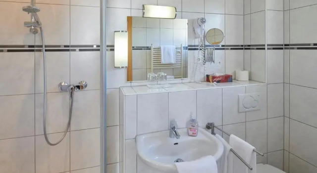 Двухместный номер Standard Hotel Zum Grunewald