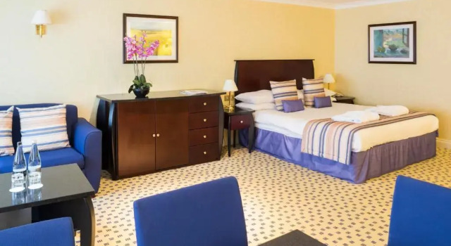 Двухместный номер Premium Basingstoke Hotel