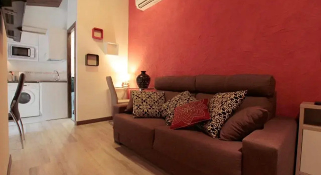Апартаменты c 1 комнатой Apartamentos Alcantara