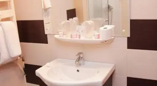Номер Standard Hotel Dambovita