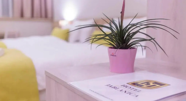 Двухместный номер Deluxe с балконом PARK Hotel & SPA Jablanica