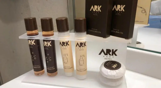 Двухместный номер Economy Ark Hotel