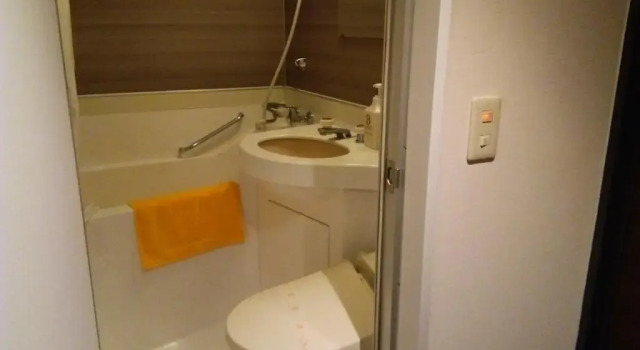 Двухместный номер Standard с видом на город Fujinomiya Fujikyu Hotel