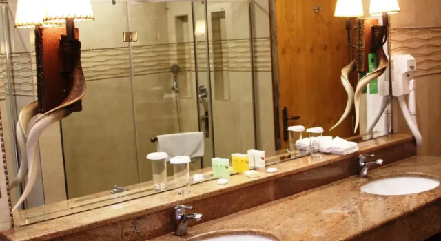 Люкс Business Sawela Lodges
