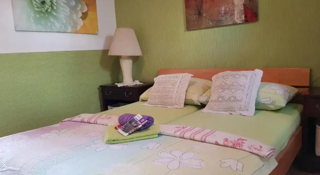 Трёхместный номер Economy Hostel Pansion Lion