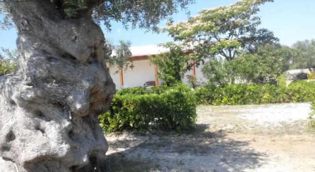 Номер Standard Agriturismo Villa Tommaso