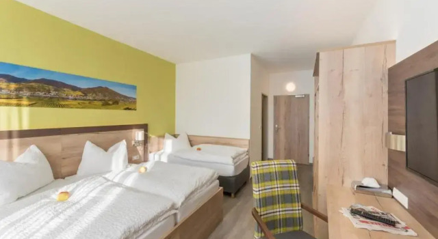 Номер Deluxe Sleepin Premium Motel Loosdorf