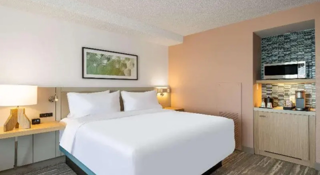Двухместный номер Standard с красивым видом из окна Hilton Garden Inn Toledo Downtown
