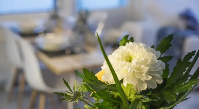 Апартаменты Tuomas´ luxurious suites, Livo