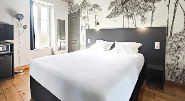 Двухместный номер Standard Hotel Château de la Barbinière
