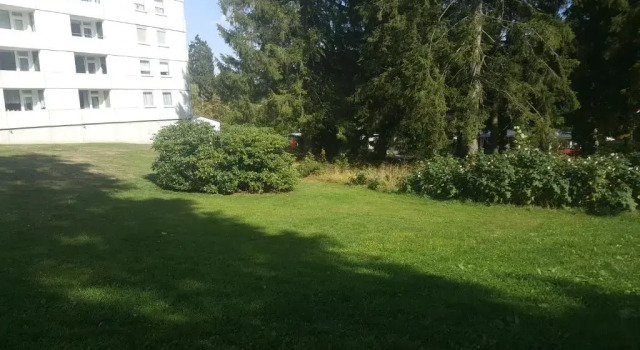 Апартаменты Hahnenklee Ferienpark 7-611