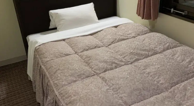 Номер Standard Kanazawa Frexhotel