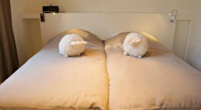 Appart Hôtel Lille - CELESTINE, Забронировать Отель Лилль О-де-Франс, рядом с Железнодорожный вокзал Лилль-Фландрия