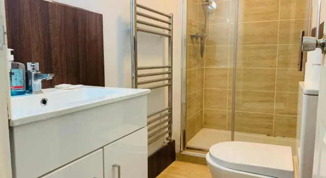 Двухместный номер Standard Swandown Hotel