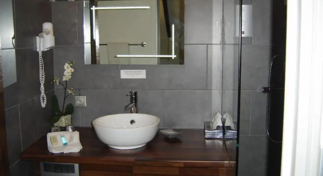 Одноместный номер Standard Logis Hotel Oasis