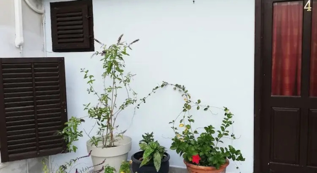 Люкс Standard c 1 комнатой Guest House Accommodation Rupine