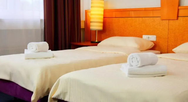 Семейный номер Standard Parkhotel Viktoria