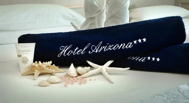 Двухместный номер Economy Hotel Arizona