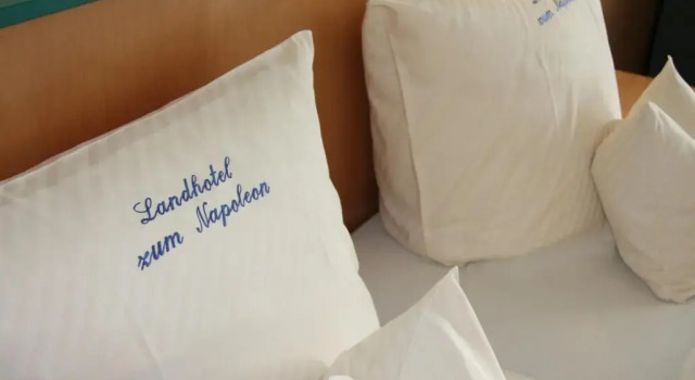 Двухместный номер Standard Landhotel Napoleon