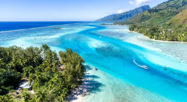 Robinsons Cove Villas, Book Hotel 4-Star Hotels in Moorea, 4*