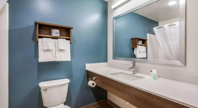 Четырёхместный номер Standard WoodSpring Suites Elgin - Chicago