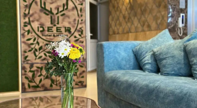 Deer Hotel & Hostel, Забронировать Хостел Хостелы провинции Антальи, Хостел