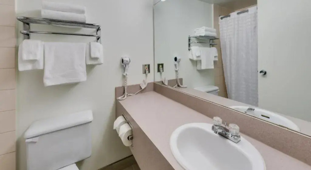 Номер Standard Heritage Inn Hotel & Convention Centre - Brooks