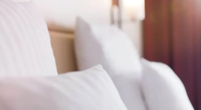 Двухместный номер Standard Adler Hotel & Restaurant Groß-Gerau