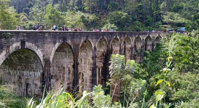 Nine Arch Heritage Ella