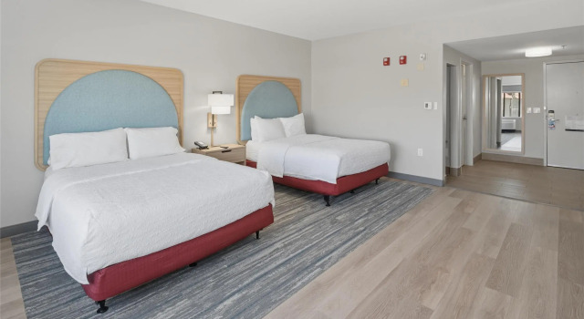 Двухместный номер Standard Hampton Inn & Suites Pharr