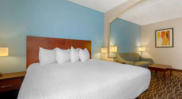 Двухместный люкс Best Western Plus Suites Greenville