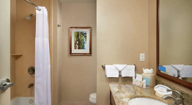 Номер Premium Hampton Inn and Suites Salem