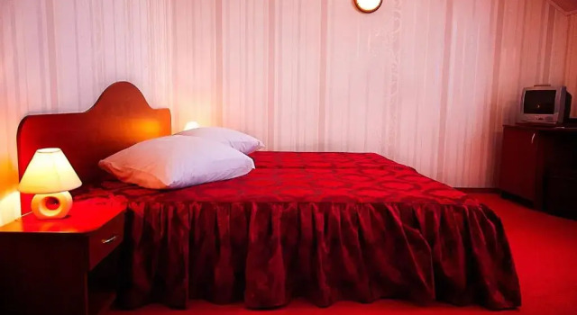 Двухместный номер Standard Hotel Rusu
