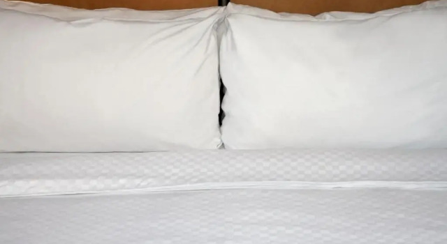 Suite mit Stadtblick Four Points by Sheraton Saskatoon