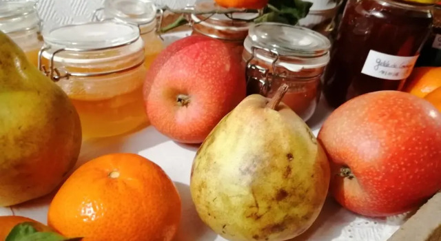 B&B Quinze 66, Varaa Bed and Breakfast Gresswiller Bas-Rhin