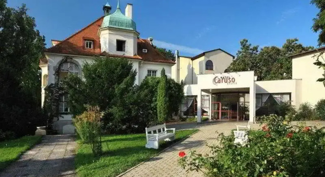 Caruso, Book Hotel Hotels in Vienna surrounding with a Pool, Swimming Pool