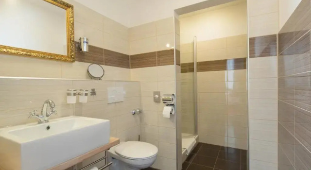 Одноместный номер Standard Hotel Monopol