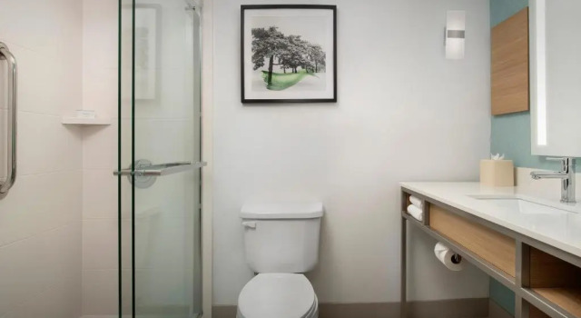 Люкс Hilton Garden Inn Dallas/Duncanville