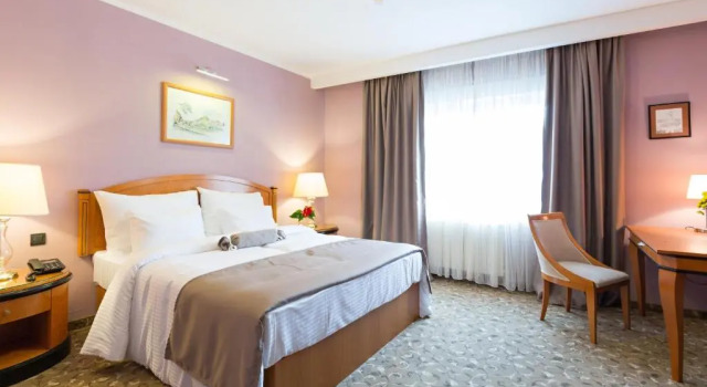 Номер Standard Hotel Sterling Garni
