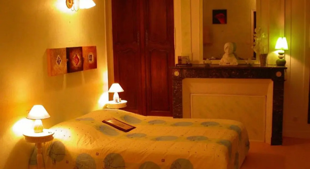 Двухместный номер Superior Hôtel le Dauphin