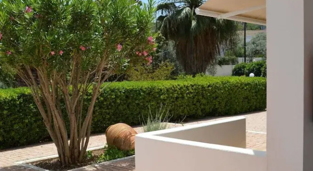 Студия Melia Sol Art Studios