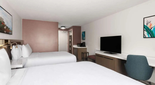 Четырёхместный номер Standard Hilton Garden Inn Tallahassee