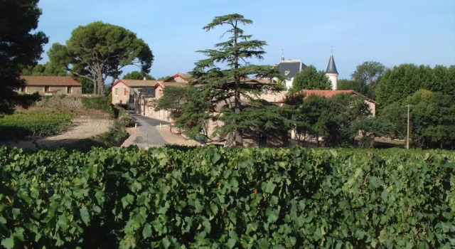 Двухместный номер Standard с видом на парк Château Saint Martin de Graves