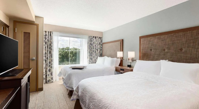 Четырёхместный номер Standard Hampton Inn & Suites Hershey Near the Park