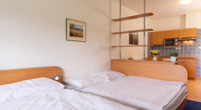 Студия Classic с балконом Apartmány Engadin