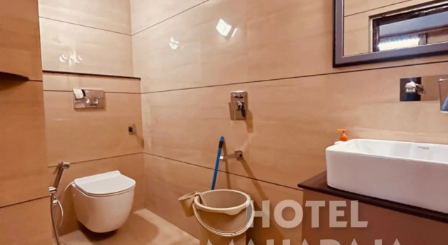 Люкс Deluxe Hotel Maharaja